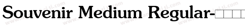 Souvenir Medium Regular字体转换